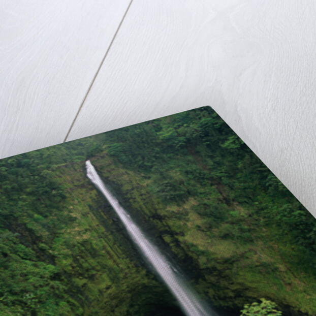 Akaka Falls by Anonymous