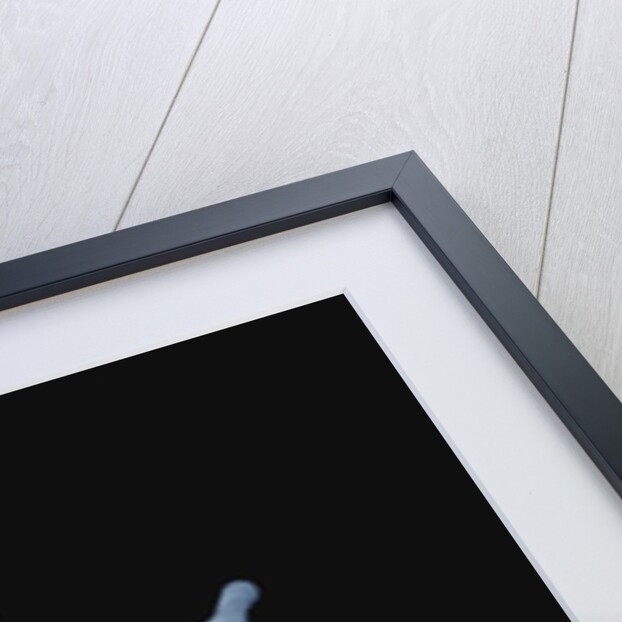 Skeletal Hand Holding Computer Chip by Anonymous