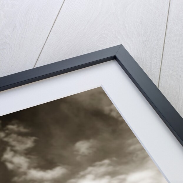 Abandoned House by Anonymous