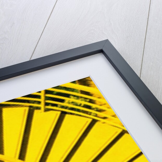 View from Above of Spiral Staircase by Anonymous