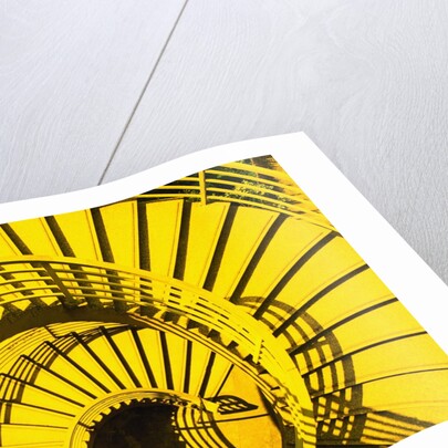 View from Above of Spiral Staircase by Anonymous