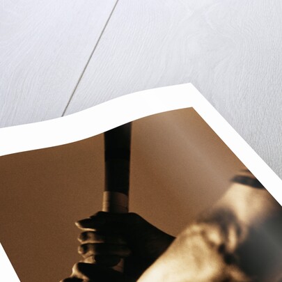 Bat in Batter's Hands by Anonymous