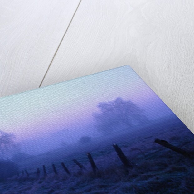 Meadow in the Morning Mist by Anonymous