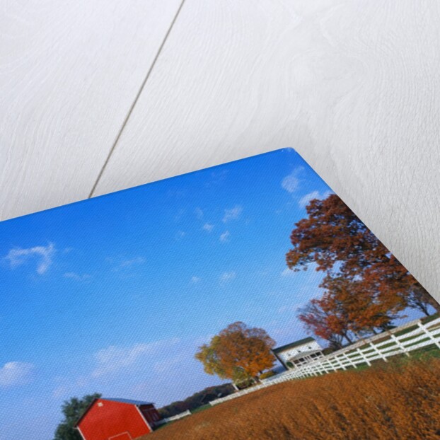 Farm in Autumn by Anonymous