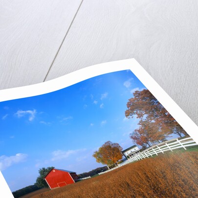 Farm in Autumn by Anonymous