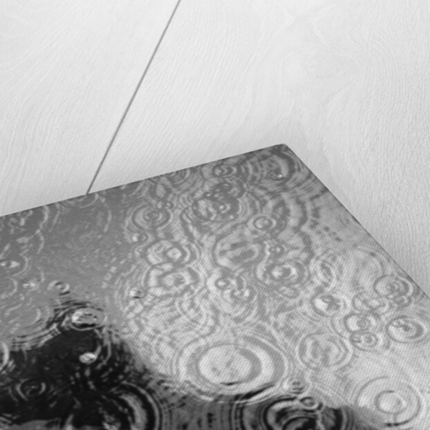 Raindrop Ripples on Fish Underwater by Anonymous