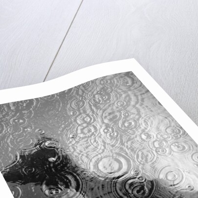 Raindrop Ripples on Fish Underwater by Anonymous