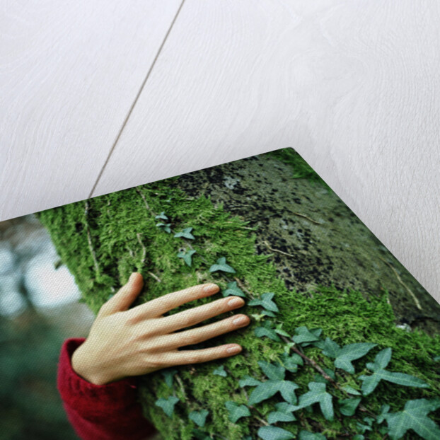 Tree Hugger by Anonymous
