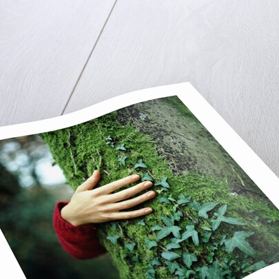 Tree Hugger by Anonymous