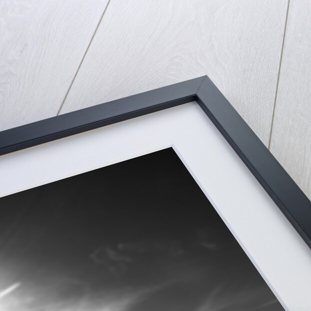 Rock at Racetrack Playa by Anonymous