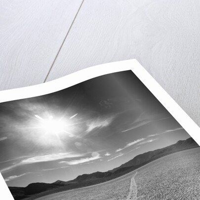 Rock at Racetrack Playa by Anonymous