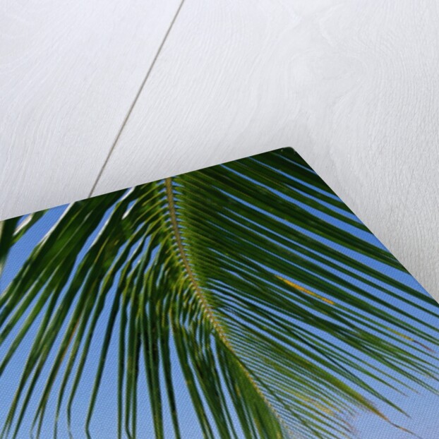 Deck Chairs on Beach by Anonymous