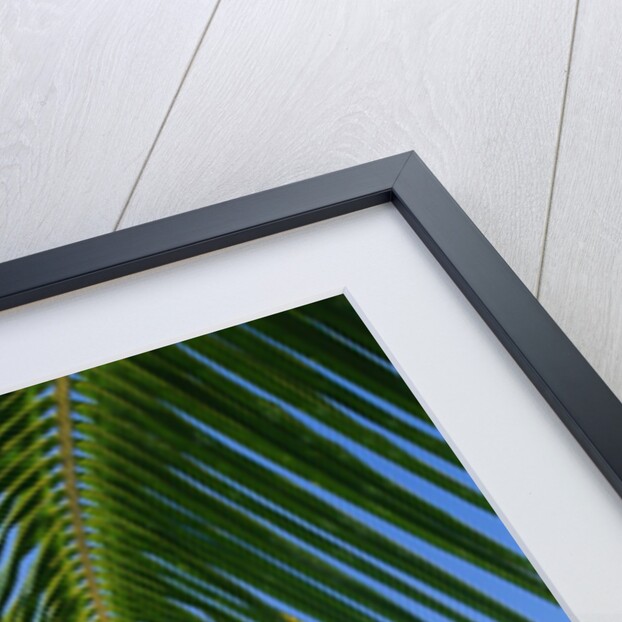 Deck Chairs on Beach by Anonymous