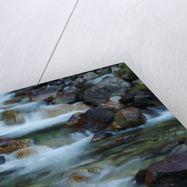 Rocky Stream by Anonymous