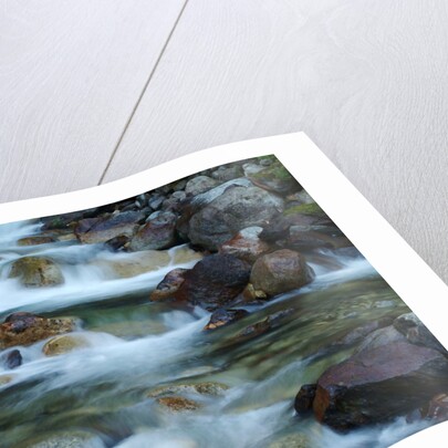 Rocky Stream by Anonymous