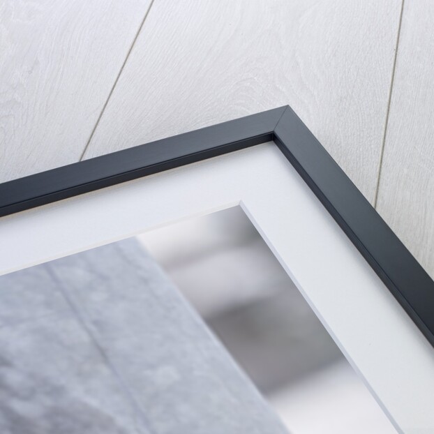 Boy Putting Tongue to Frozen Pole by Anonymous