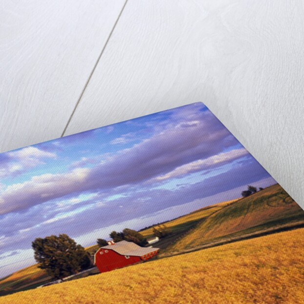 Barn Surrounded by Fields by Anonymous