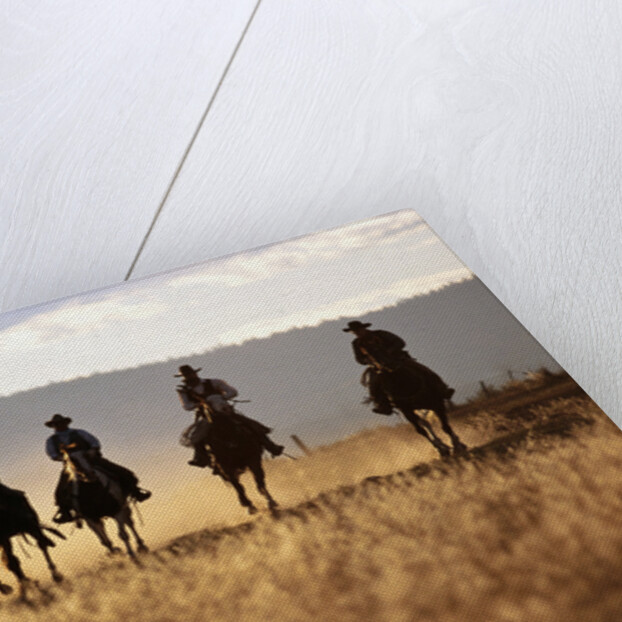 Cowboys Galloping Horses in Field by Anonymous