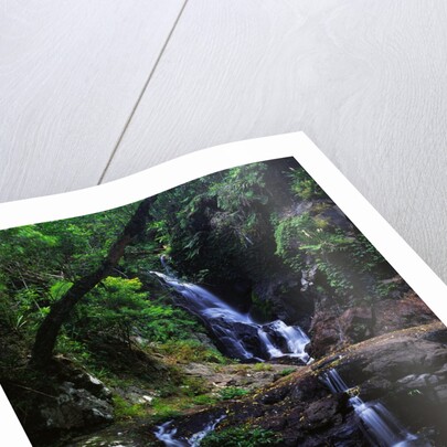 Elabana Falls by Anonymous