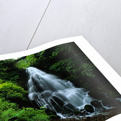 Fairy Falls by Anonymous