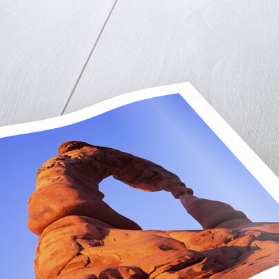Sun Setting at Delicate Arch by Anonymous