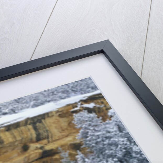 Snow Blankets Spruce Tree House Anasazi Cliff Dwelling at Mesa Verde National Park by Anonymous
