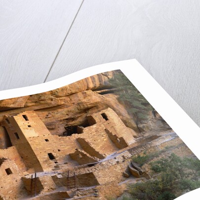 Cliff Palace by Anonymous