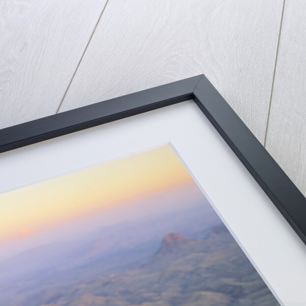 Agaves Growing in Chisos Mountains by Anonymous