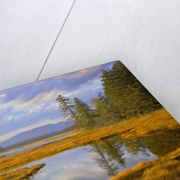 Bass Harbor Marsh and Western Mountain by Anonymous