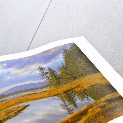 Bass Harbor Marsh and Western Mountain by Anonymous
