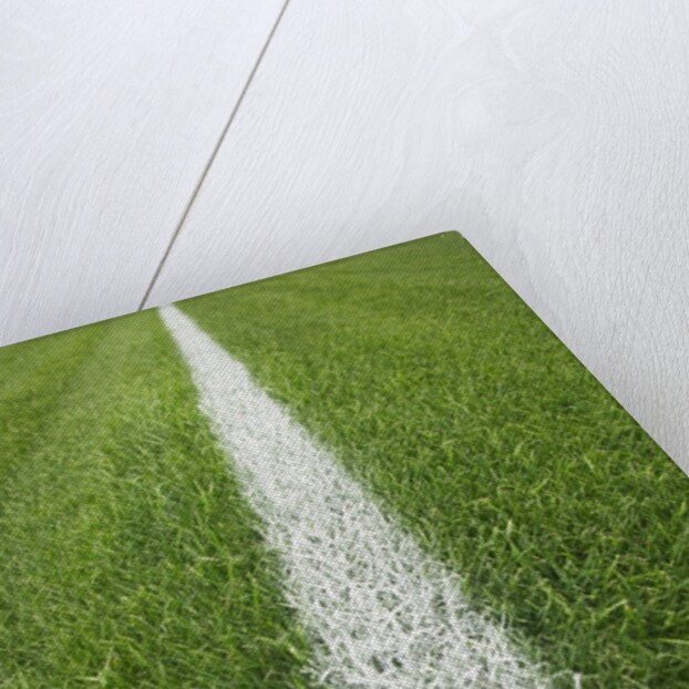 Painted Line on Athletic Field by Anonymous