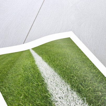 Painted Line on Athletic Field by Anonymous