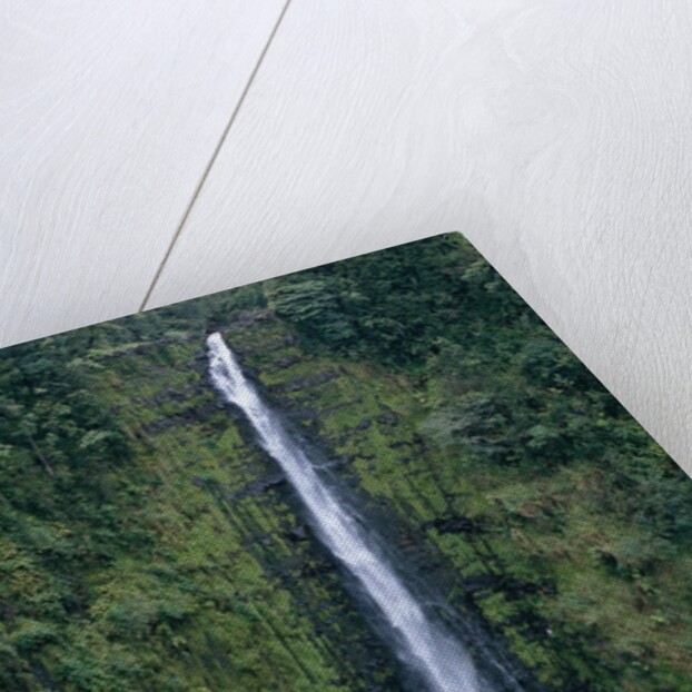 Akaka Falls by Anonymous
