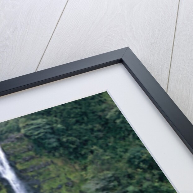 Akaka Falls by Anonymous