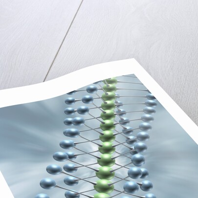 Chain of Molecules by Anonymous