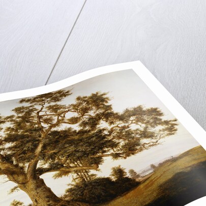The Charter Oak by Charles de Wolfe Brownell