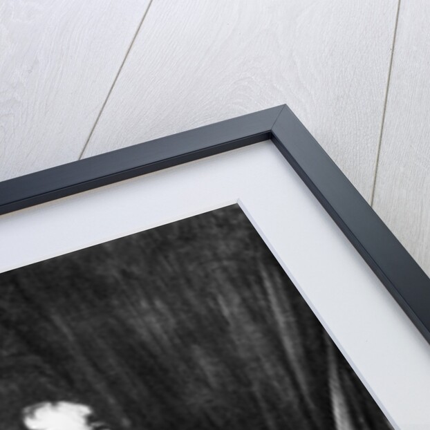 Napoleon at Fontainebleau by Paul de la Roche