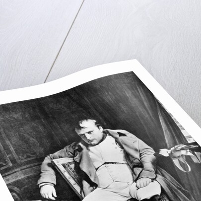 Napoleon at Fontainebleau by Paul de la Roche