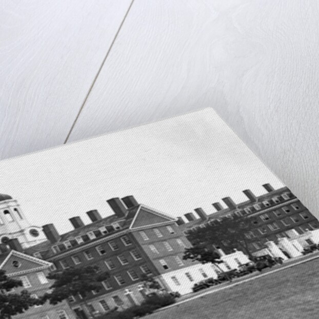 Dormitories at Harvard University by Anonymous