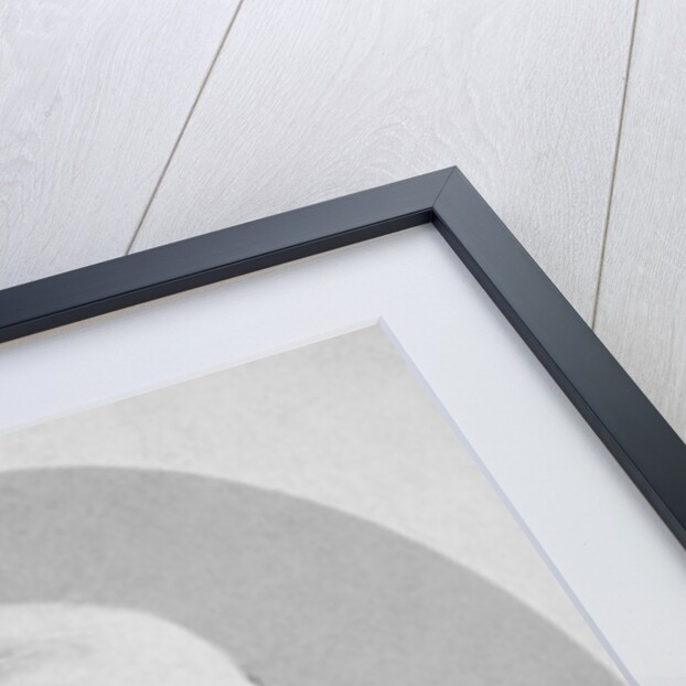 Ralph Waldo Emerson by Anonymous