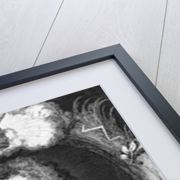 King James II (1633-1701) of England by Anonymous