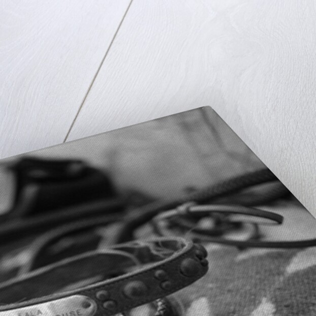 Dog Collar Belonging to Fala, President Franklin D. Roosevelt's Dog by Anonymous