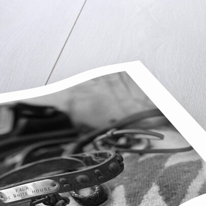 Dog Collar Belonging to Fala, President Franklin D. Roosevelt's Dog by Anonymous