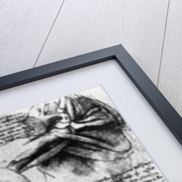 Drawing Studies of Arms, Hands, and Feet by Leonardo da Vinci