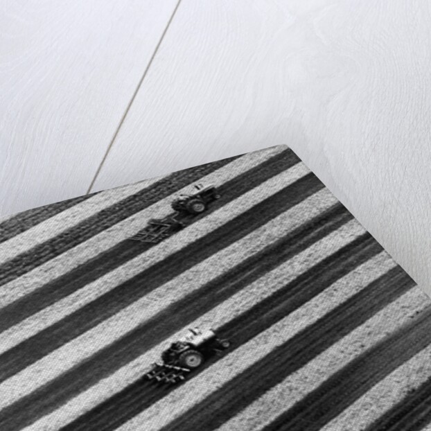 Aerial View Of Skip-Row Planting by Anonymous