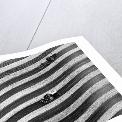 Aerial View Of Skip-Row Planting by Anonymous