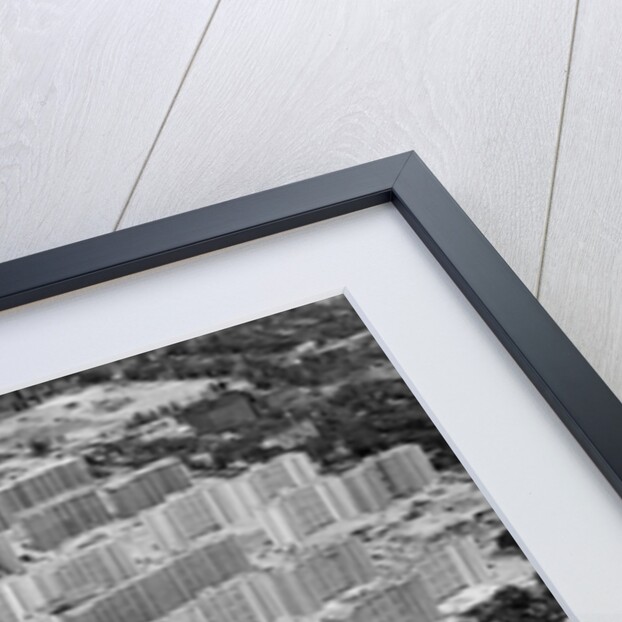 Aerial View of St. Louis Housing Project by Anonymous