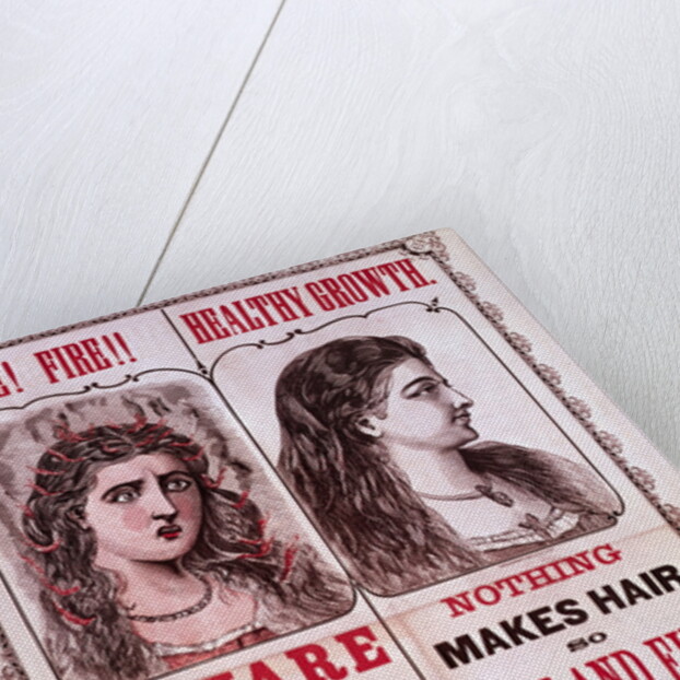 Poster For Dobbins' Hair Renewer by Anonymous