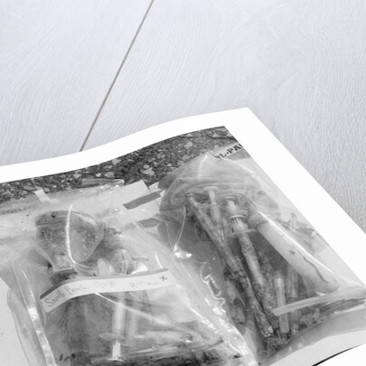 Syringes Washed Ashore on Staten Island by Anonymous