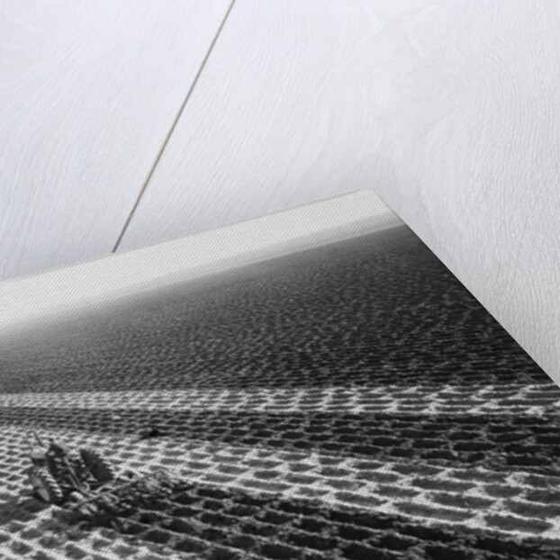 John Deere Model "G" Tractor In Field by Anonymous